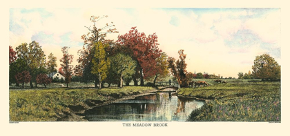 Picture of THE MEADOW BROOK