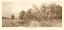 Picture of THE COUNTRY ROAD SEPIA