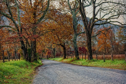 Picture of MORNING ON SPARKS LANE I