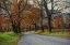 Picture of MORNING ON SPARKS LANE I