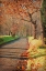 Picture of MORNING ON SPARKS LANE III
