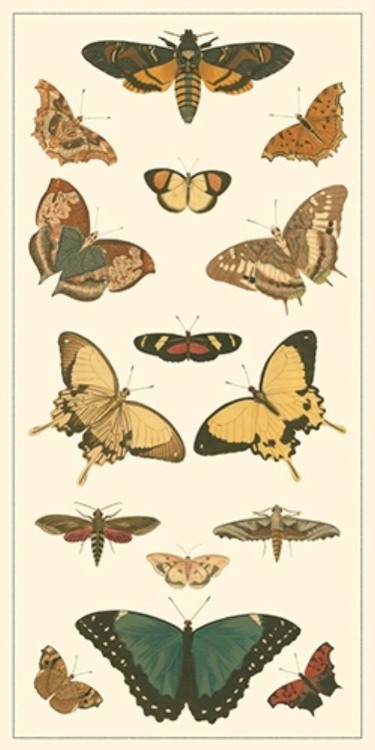 Picture of CRAMER BUTTERFLY PANEL I 