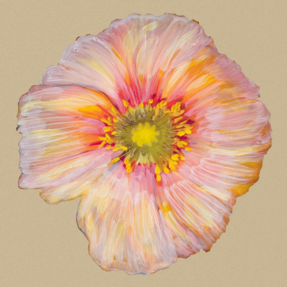 Picture of POPPY BLOSSOM I
