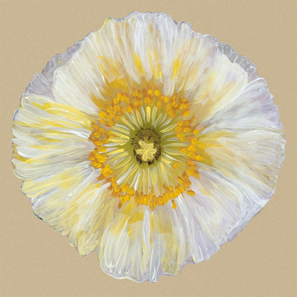 Picture of POPPY BLOSSOM II