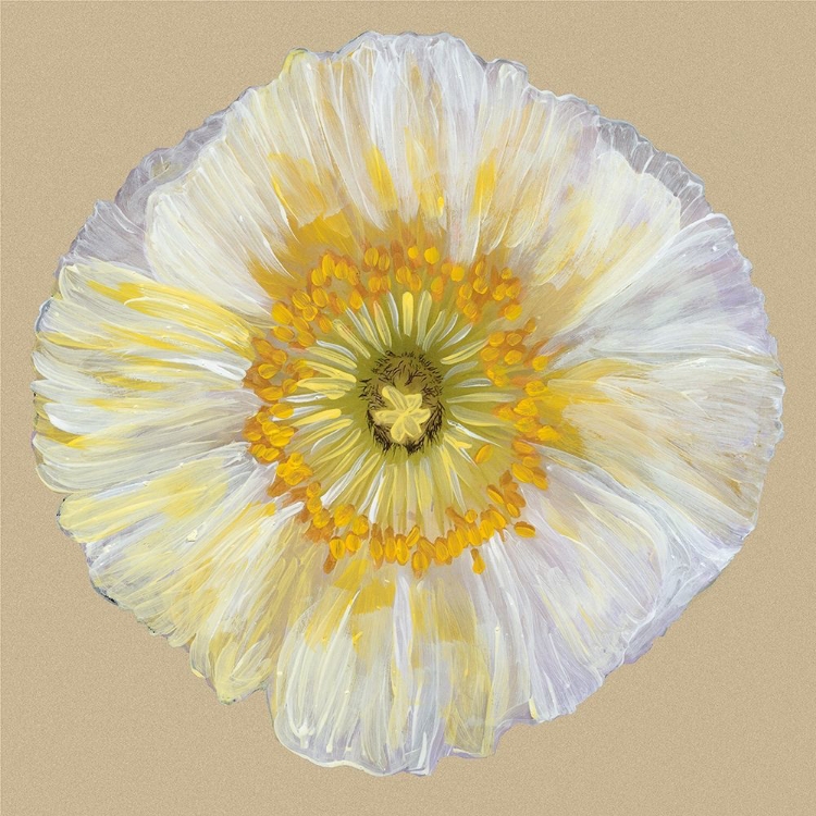 Picture of POPPY BLOSSOM II