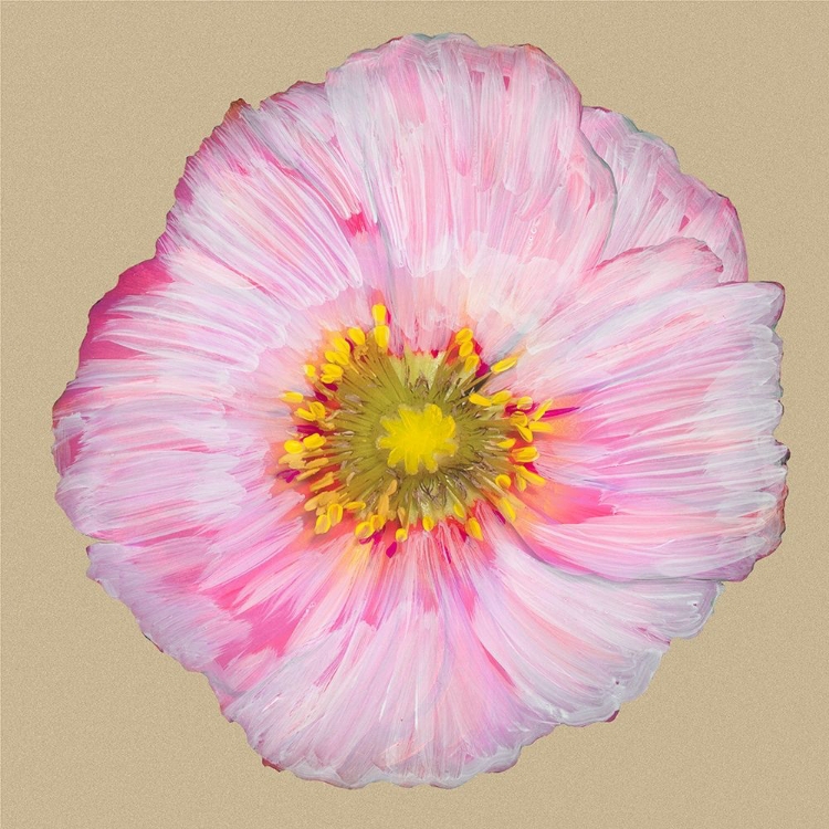 Picture of POPPY BLOSSOM III