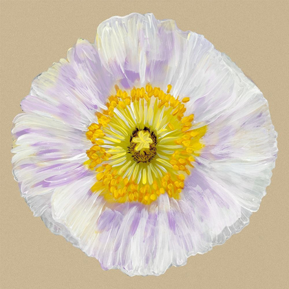 Picture of POPPY BLOSSOM IV