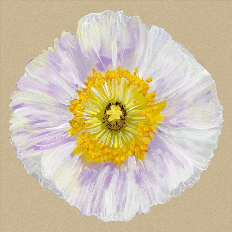 Picture of POPPY BLOSSOM IV
