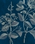 Picture of MODERN BOTANY I