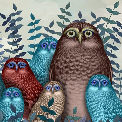 Picture of FAB FUNKY OWL FUN COLLECTION D