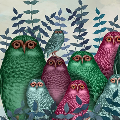 Picture of FAB FUNKY OWL FUN COLLECTION F