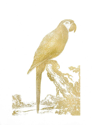 Picture of GOLD FOIL PARROT I