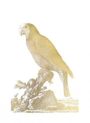 Picture of GOLD FOIL PARROT II