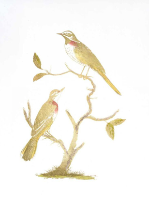 Picture of GOLD FOIL BIRDS II WITH HAND COLOR