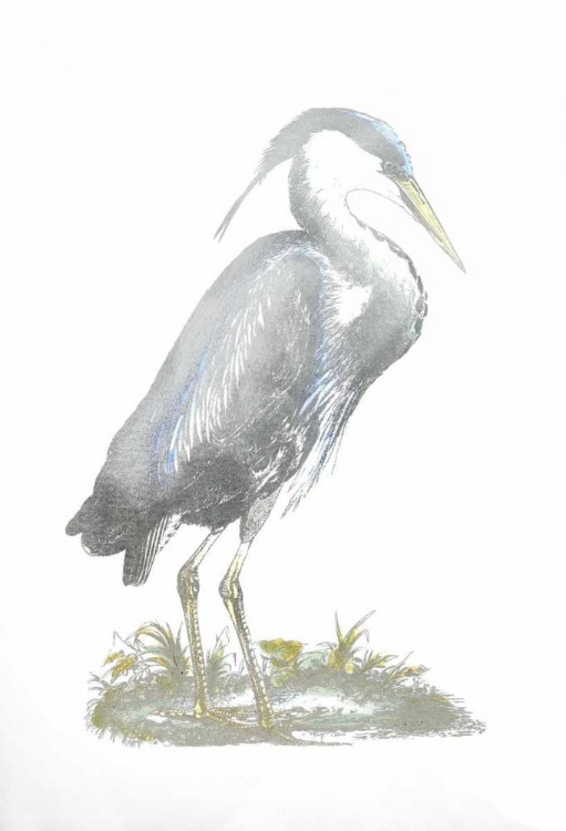 Picture of SILVER FOIL HERON I WITH HAND COLOR