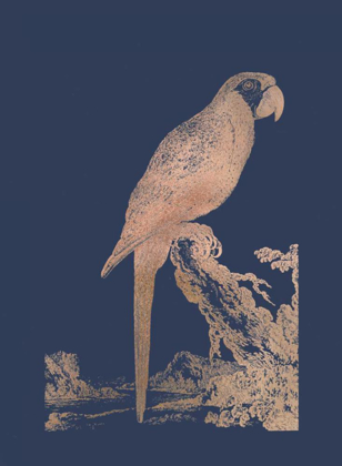 Picture of ROSE GOLD FOIL PARROT I ON IMPERIAL BLUE