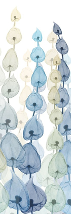 Picture of LANTERNS ON WHITE 3