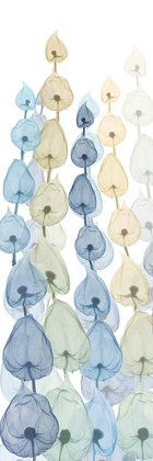 Picture of LANTERNS ON WHITE 4