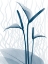 Picture of BLUE DAWN 1