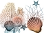 Picture of SEA COLLECTIVE 2
