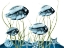 Picture of AQUATIC HOME 1