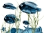 Picture of AQUATIC HOME 2