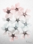 Picture of OLEANDER FANTASY 1
