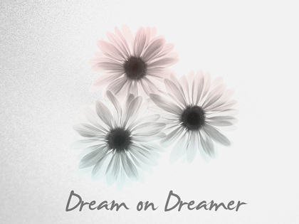 Picture of DREAM ON DREAMER MARGARITHE