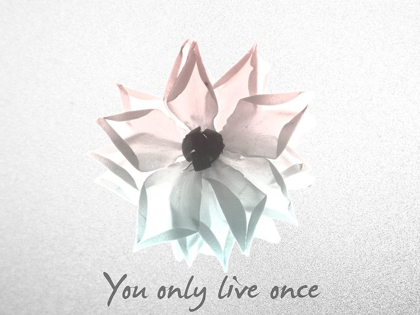 Picture of YOU ONLY LIVE ONCE ROSE