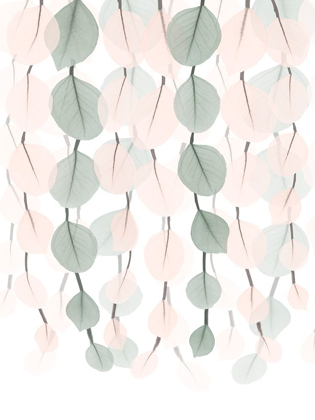 Picture of BLUSH LANTERN CASCADE 2