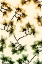 Picture of PEEKING FOLIAGE 3