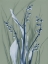 Picture of RADIANT BLUE SAGE 2