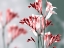Picture of UNFOCUSED BEAUTY 1