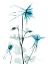 Picture of AQUA COLUMBINE
