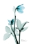 Picture of AQUA HELLE BORUS