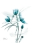Picture of AQUA BEAUTIFUL GOWTH 2