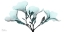 Picture of OLEANDER MIST 1