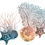 Picture of OCEAN BUNDLES 3