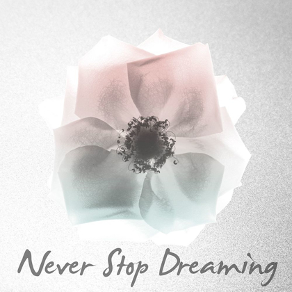 Picture of NEVER STOP DREAMING 1