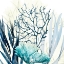 Picture of OCEAN FLOOR LIFE 1
