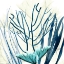 Picture of OCEAN FLOOR LIFE 2