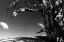 Picture of CURVED WORLD