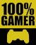 Picture of 100 GAMER