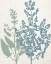 Picture of LINEN HERBS 2