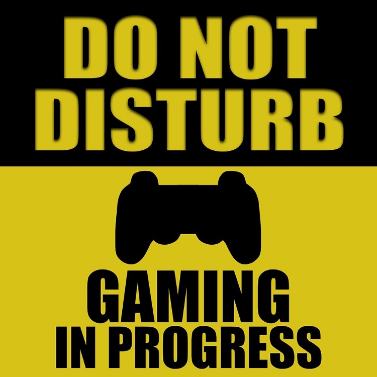 Picture of DO NOT DISTURB