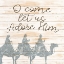 Picture of WISE MEN ADORE