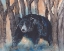 Picture of MOMMA BEAR