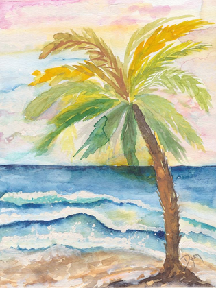 Picture of COASTAL PALM
