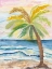 Picture of COASTAL PALM