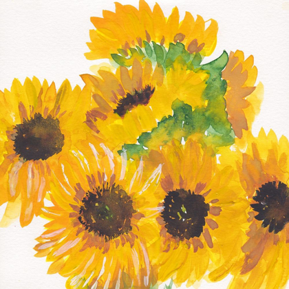 Picture of CLOSE SUNFLOWER BOUQUET